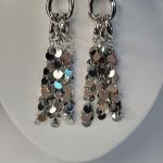 Luna Vibe Sliver Earrings